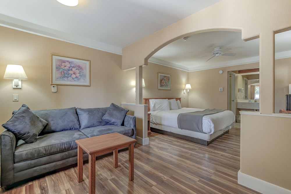 Exclusive Suite, 1 King Bed photo 1