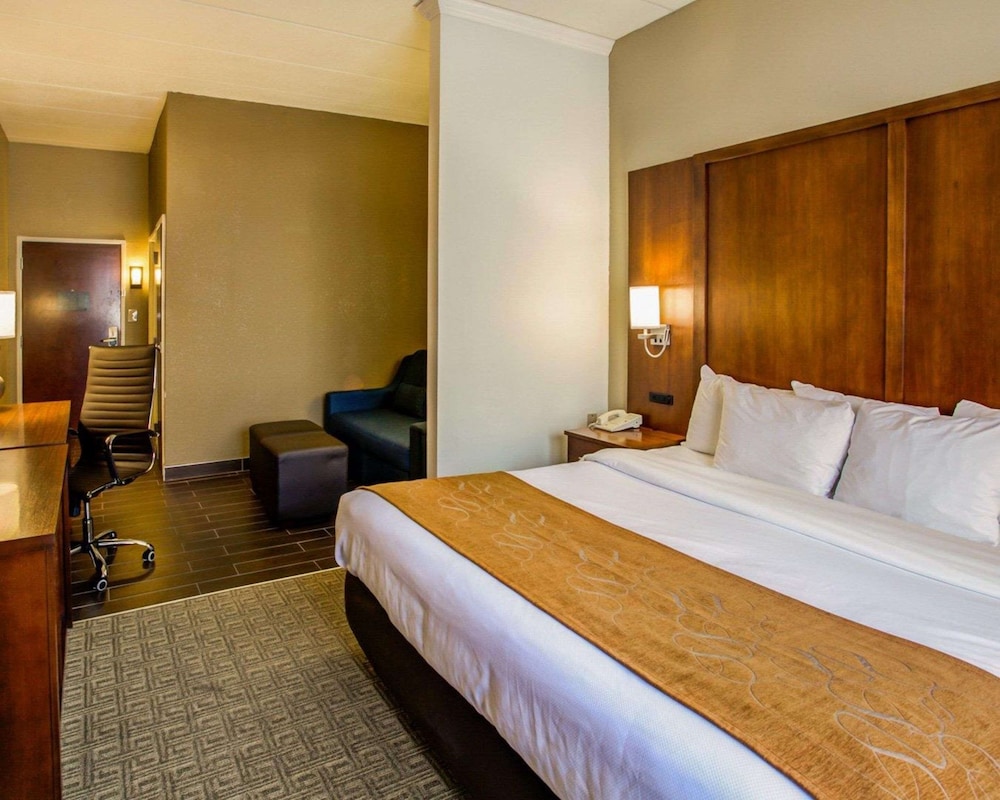 Room, 1 King Bed with Sofa bed, Accessible, Non Smoking