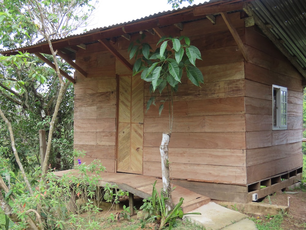 Panoramic Cabin, 1 Double Bed photo 3