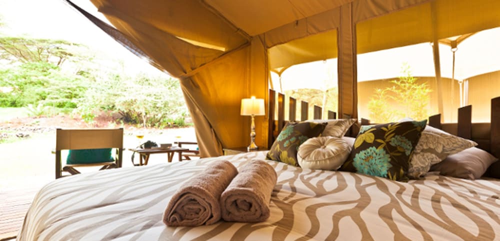 Deluxe Tent (Safari) photo 1
