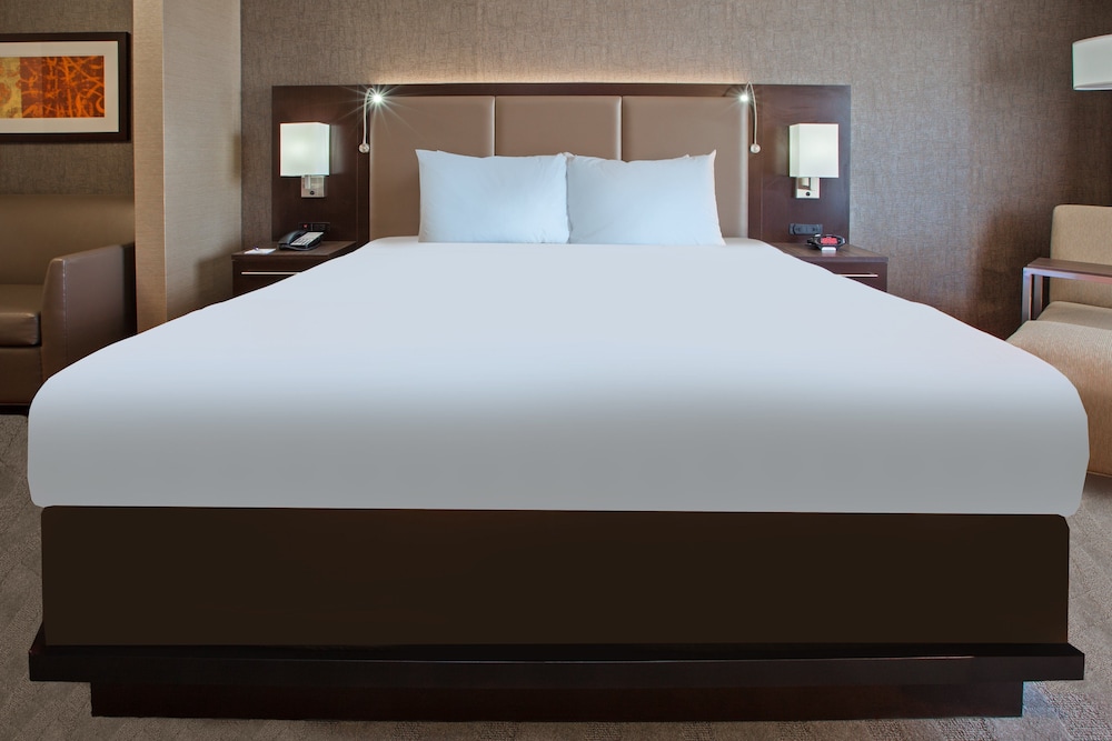 Suite, 1 King Bed photo 1
