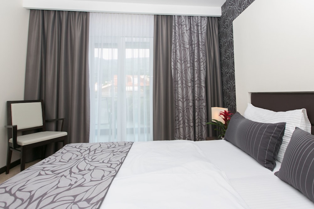 Classic Double Room, Balcony, Park View photo 3
