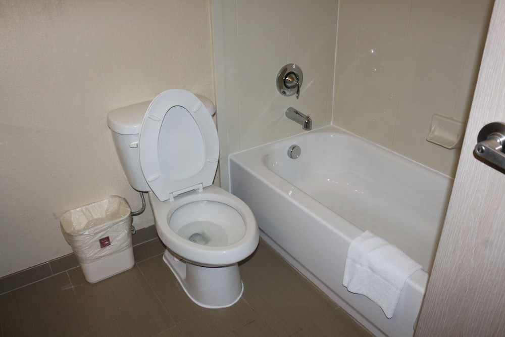 Suite, Multiple Beds, Non Smoking - Photo 9