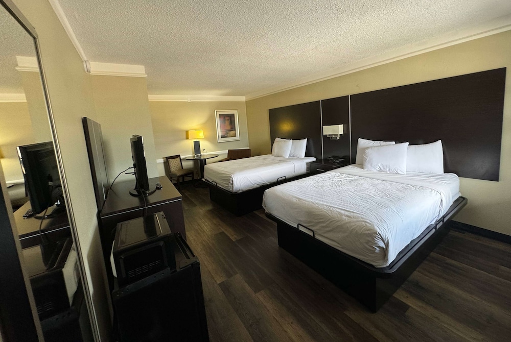 Room, Multiple Beds, Non Smoking