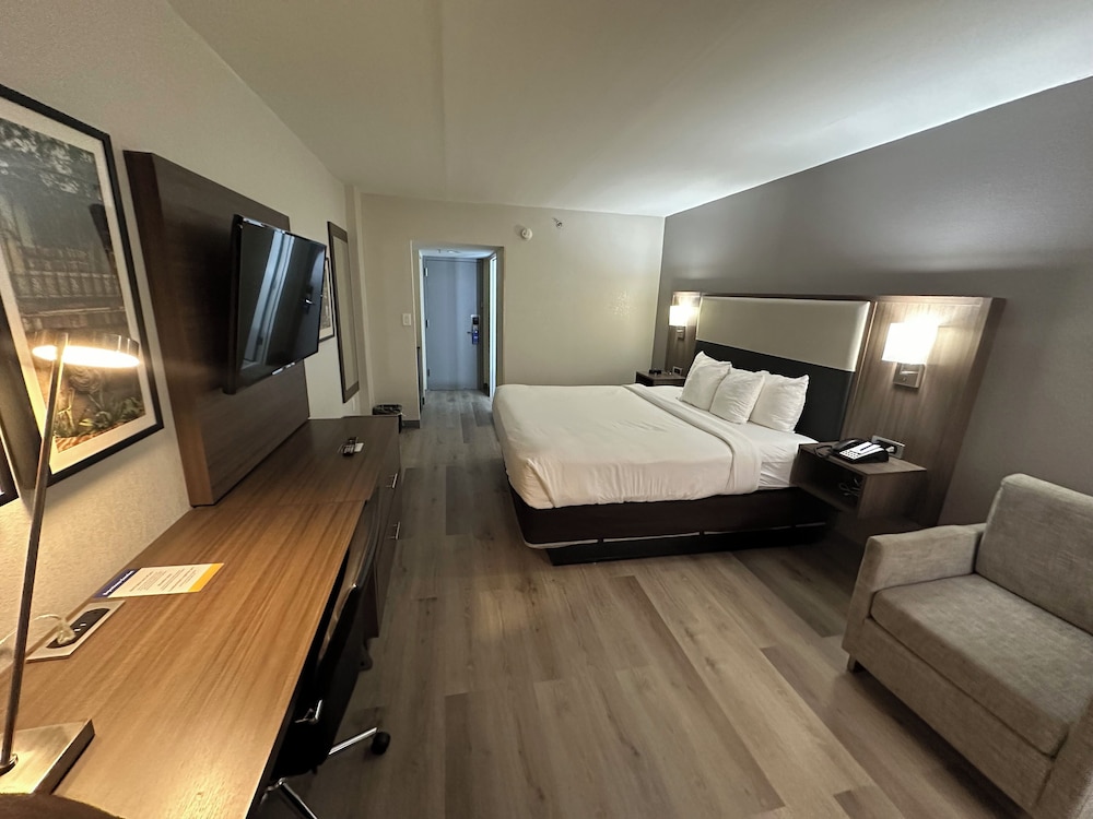 Standard Room, 1 King Bed, Non Smoking - Photo 1