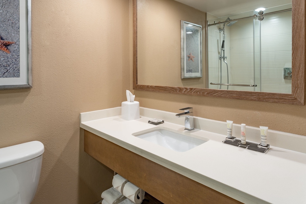 Suite, 1 Bedroom - Photo 6