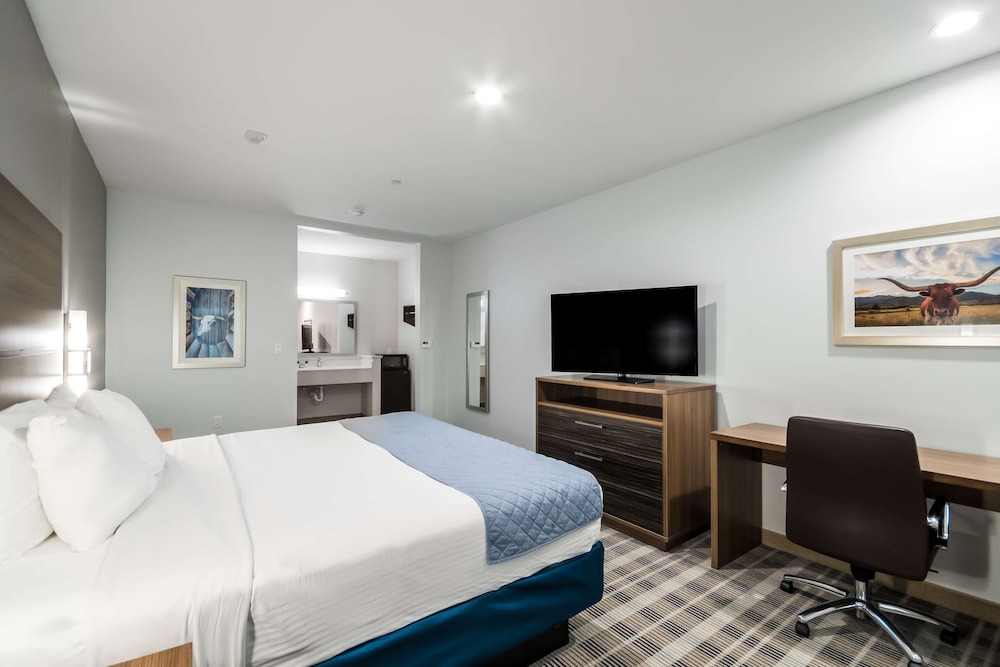 Suite, 1 King Bed, Non Smoking, Kitchenette photo 1