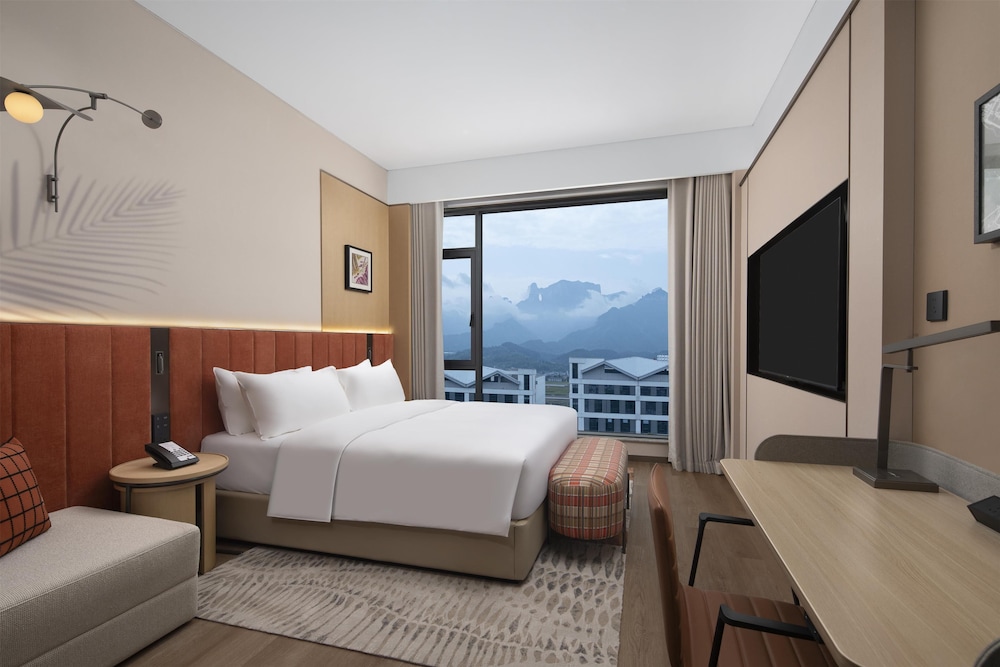 Room, 1 King Bed, Mountain View