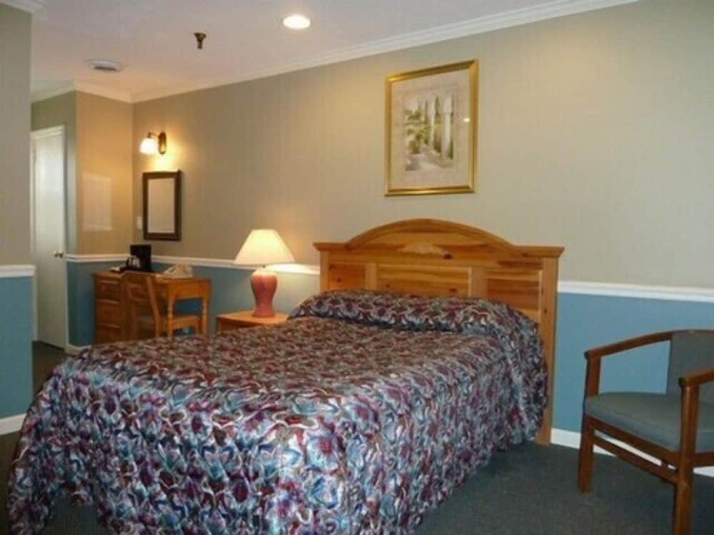 Room, 1 Double Bed photo 3