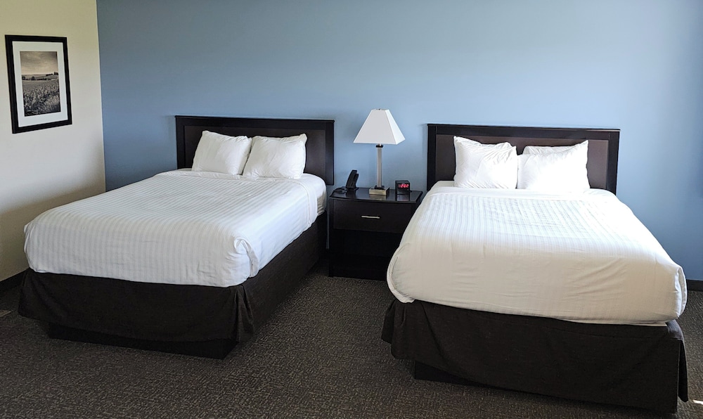 Room, 2 Queen Beds, Non Smoking