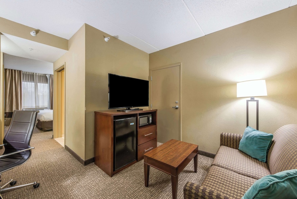 Suite, 1 King Bed with Sofa bed, Accessible, Non Smoking - Photo 1