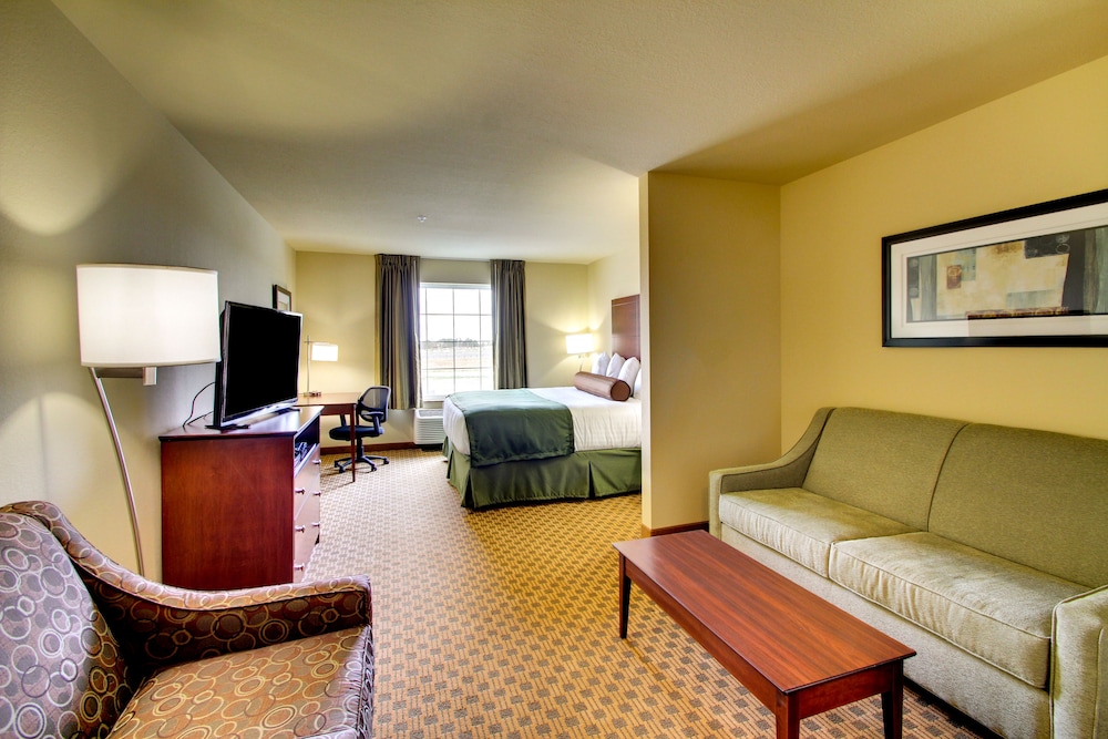 Suite, 1 King Bed with Sofa bed, Non Smoking photo 1