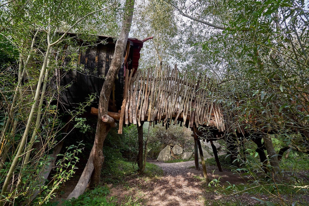 Comfort Tree House photo 2
