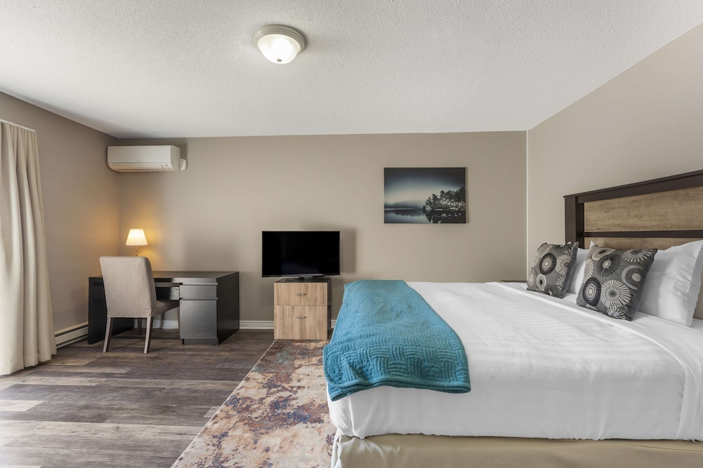 Standard Room, 1 King Bed, Patio, Lake View
