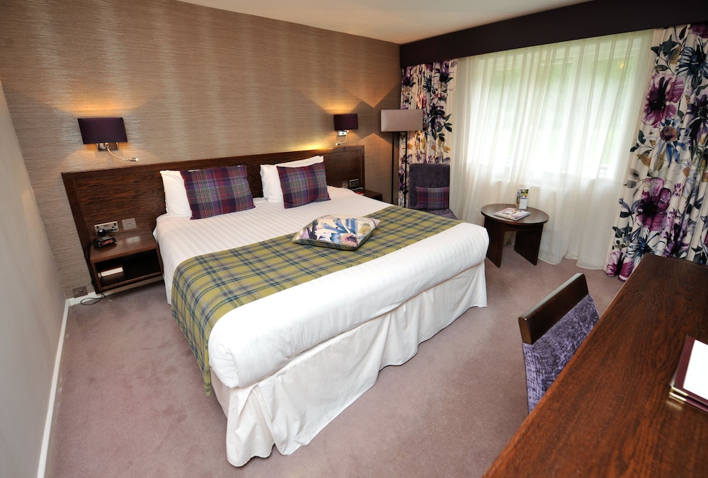 Executive Room, 1 Double Bed, Non Smoking - Photo 4