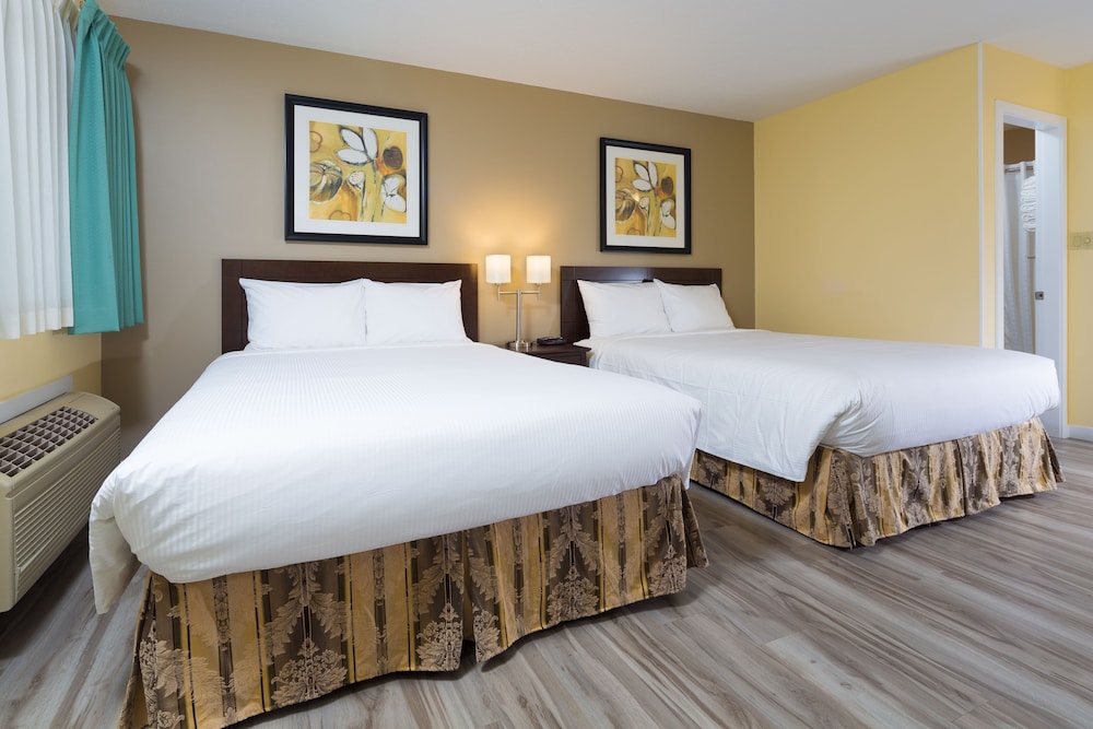Studio, 2 Queen Beds, Kitchenette photo 1