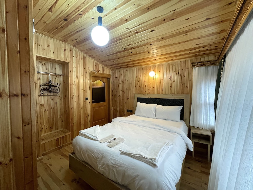 Basic Room, 1 Queen Bed, Non Smoking photo 3