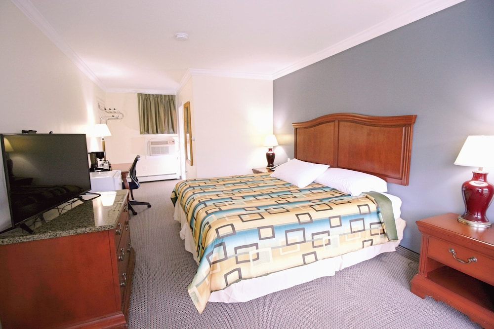 Standard Room, 1 King Bed, Non Smoking photo 1