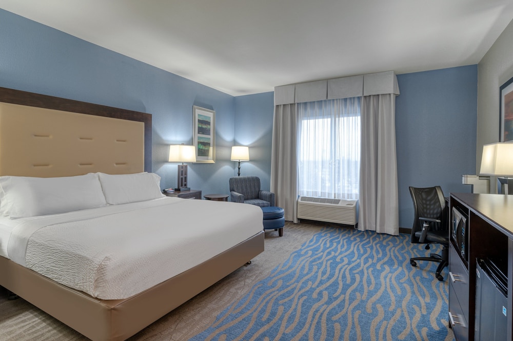 Standard Room, 1 King Bed, Accessible (Roll-In Shower)