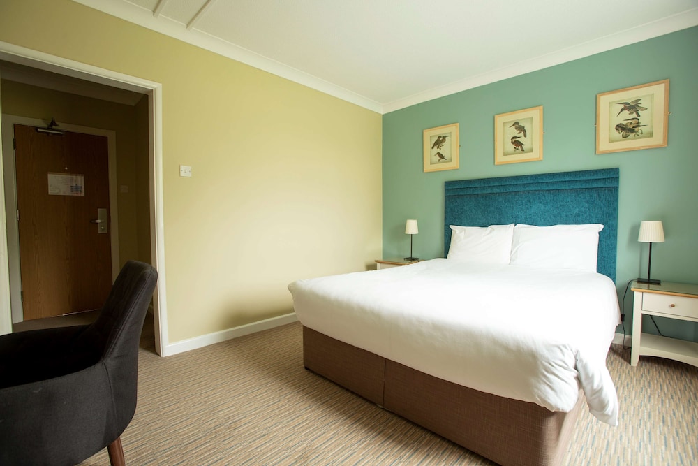 Deluxe Room, 1 King Bed, Non Smoking - Photo 2