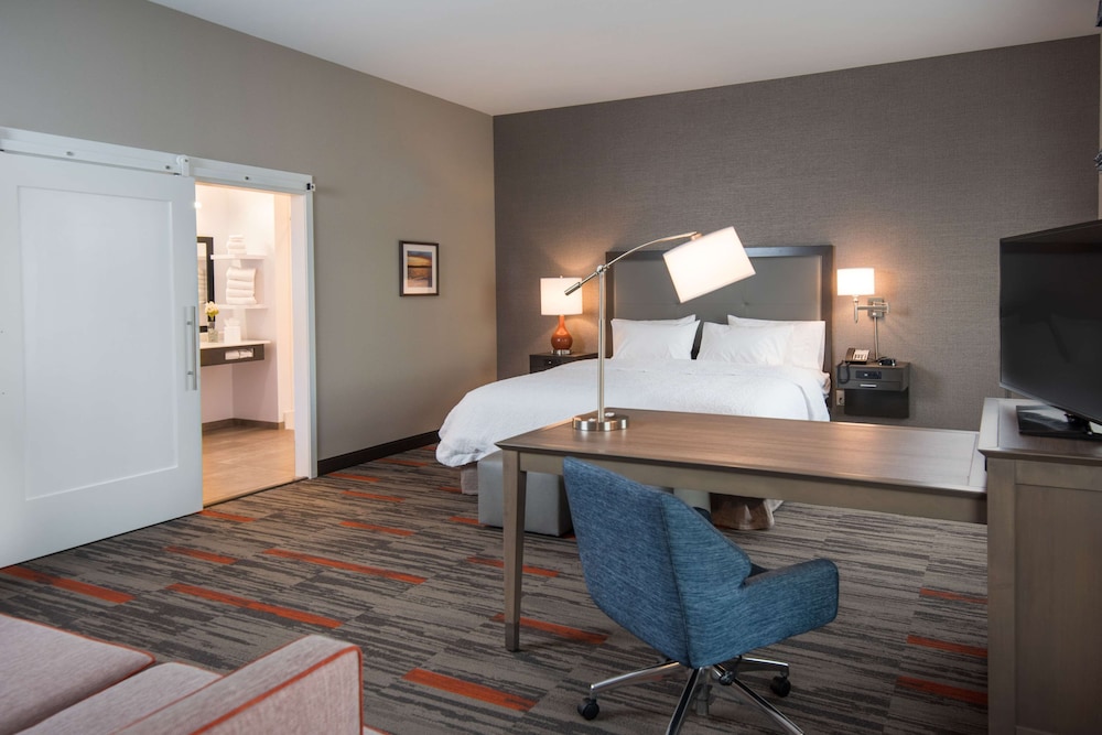 Studio Suite, 1 King Bed, Mobility Accessible, Hearing Accessible, Non Smoking photo 1