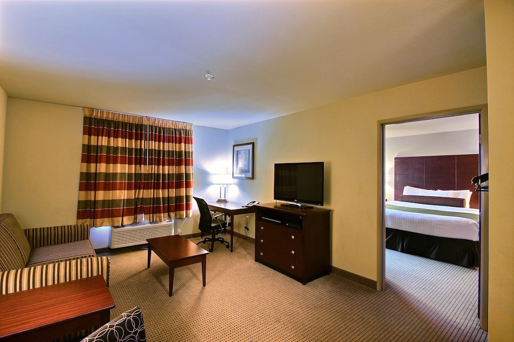Suite, 1 King Bed, Non Smoking photo 2