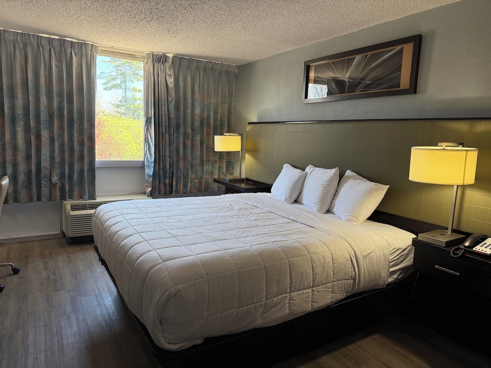 Standard Room, 1 King Bed, Non Smoking - Photo 1