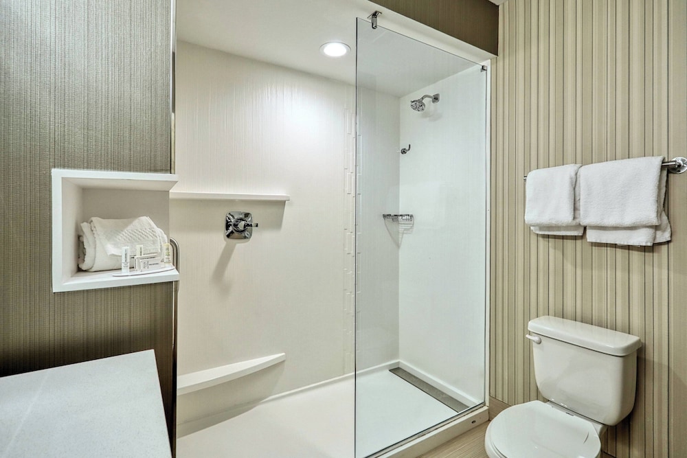 Room, 1 King Bed with Sofa bed (Mobility/Hearing Accessible, Tub) photo 2