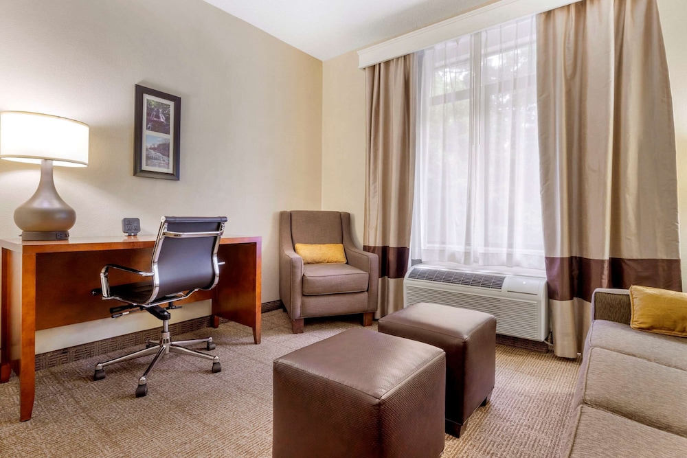 Suite - Photo 5