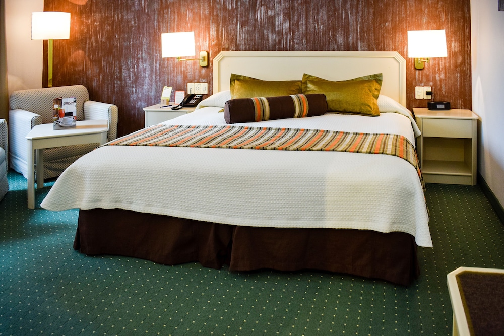 Executive Room King - Photo 7