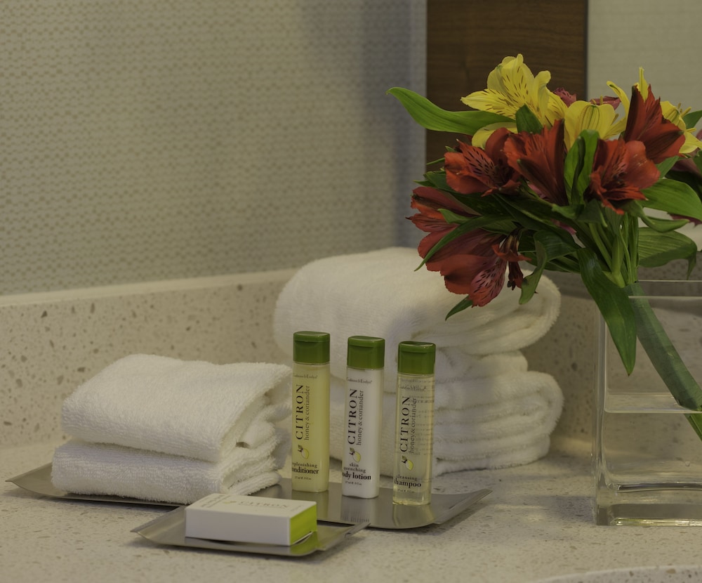 Suite, Accessible, Non Smoking - Photo 7