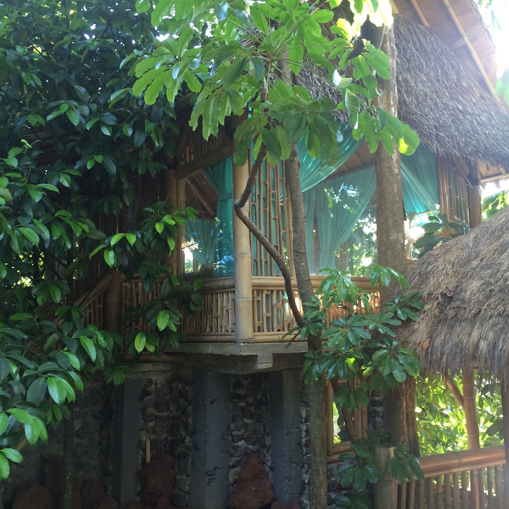 Basic Double Room, 1 Bedroom, Garden View photo 3