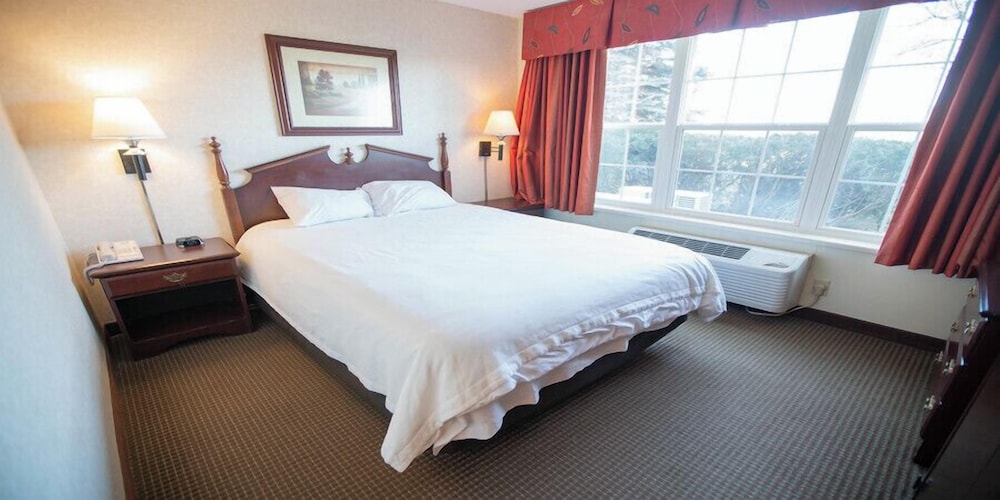 Junior Suite, 1 Queen Bed photo 1