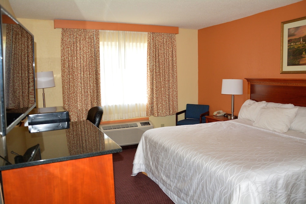 Room, 1 King Bed, Non Smoking, Jetted Tub - Photo 1
