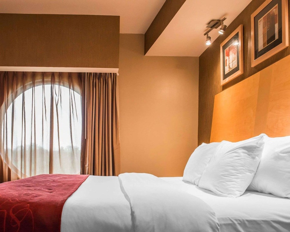 Suite, 1 King Bed with Sofa bed, Non Smoking