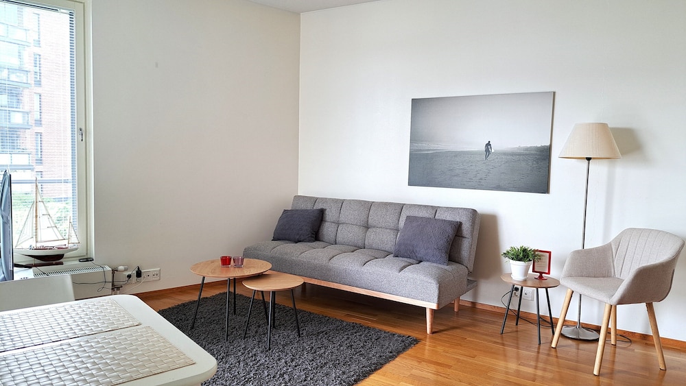 Apartment, 1 Bedroom, Sauna (City Center Area) photo 3