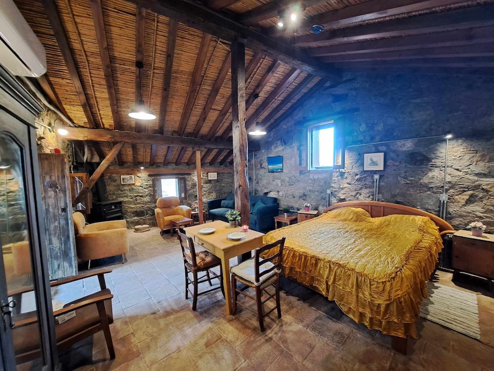 Family Studio Suite photo 1