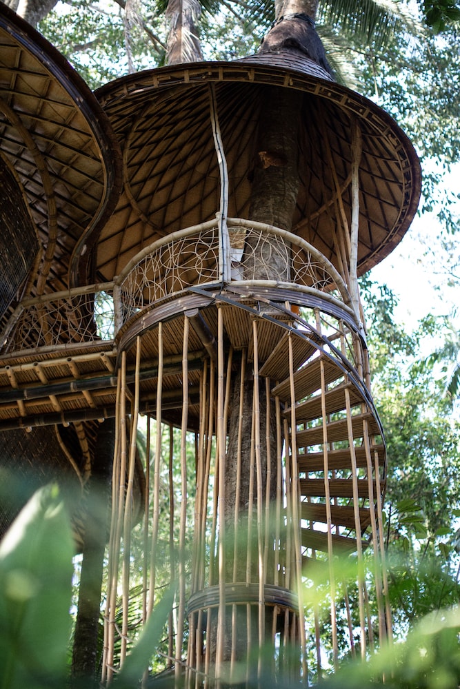 Tree House - One Bedroom Valley View