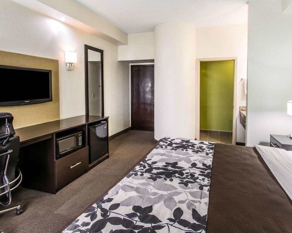 Standard Room, 1 King Bed, Non Smoking - Photo 4