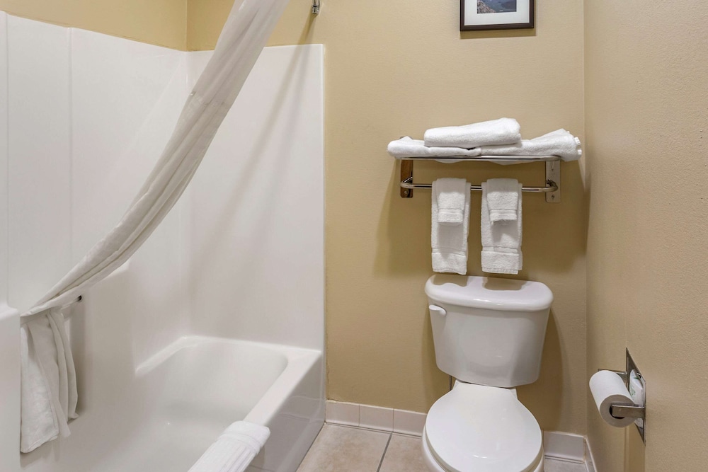 Suite, 1 King Bed with Sofa bed, Non Smoking (Upgrade) - Photo 5