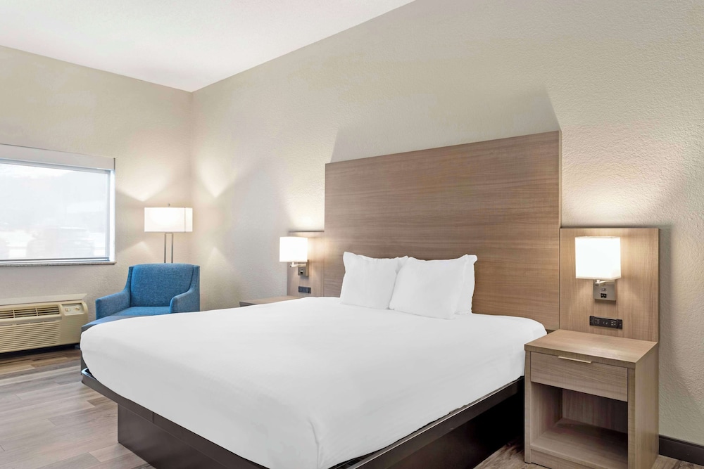 Standard Room, 1 King Bed, Non Smoking, Refrigerator & Microwave (Walk-in Shower) photo 3