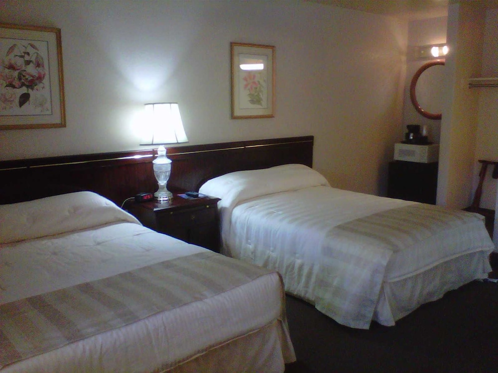 Standard Double Room, 2 Double Beds photo 1