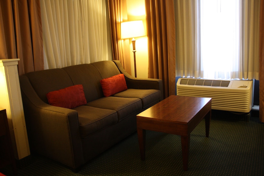 Suite, 1 Bedroom, Accessible, Non Smoking - Photo 9