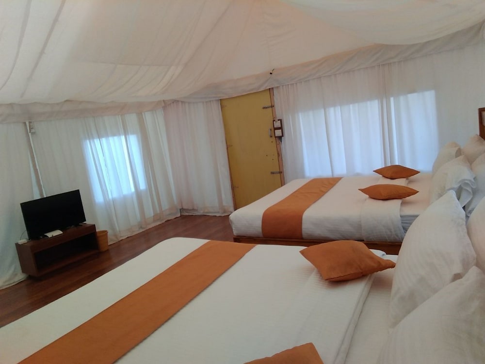 Luxury Tent, 2 Queen Beds photo 1