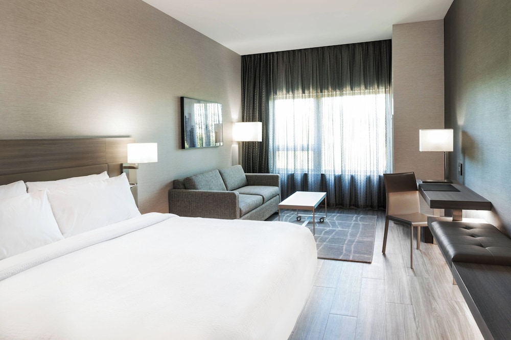 Room, 1 King Bed with Sofa bed (Mobility/Hearing Access, Roll-In Shwr)