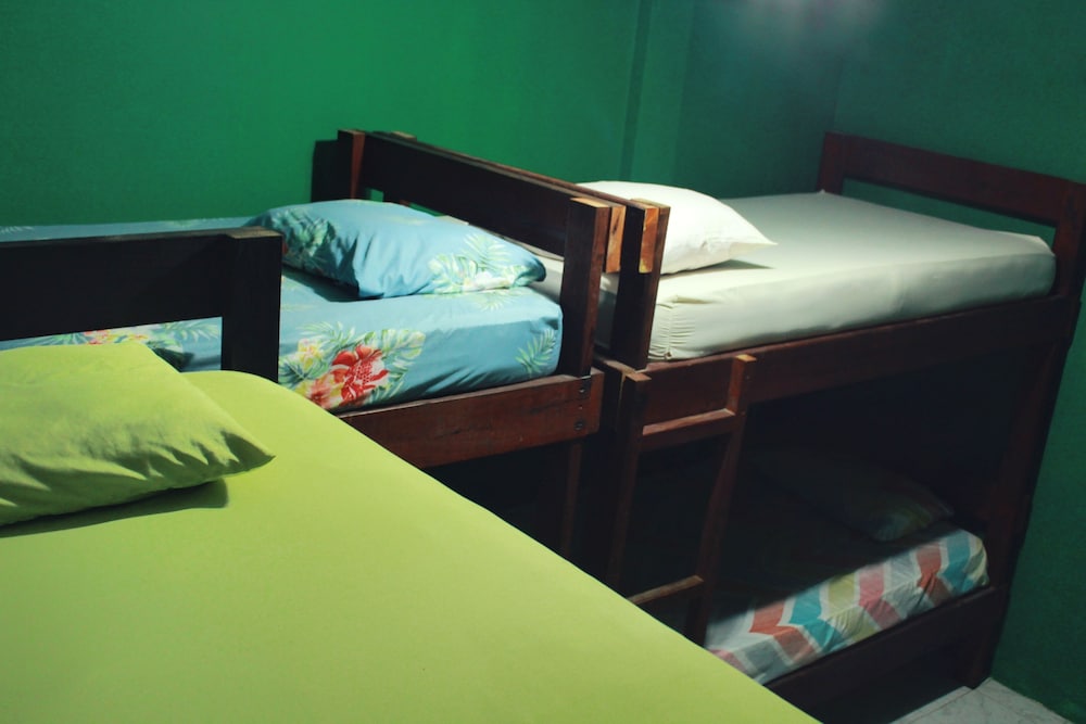 Basic Shared Dormitory photo 3