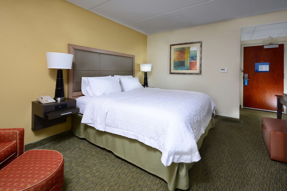 King Room, Accessible, Bathtub - Photo 3