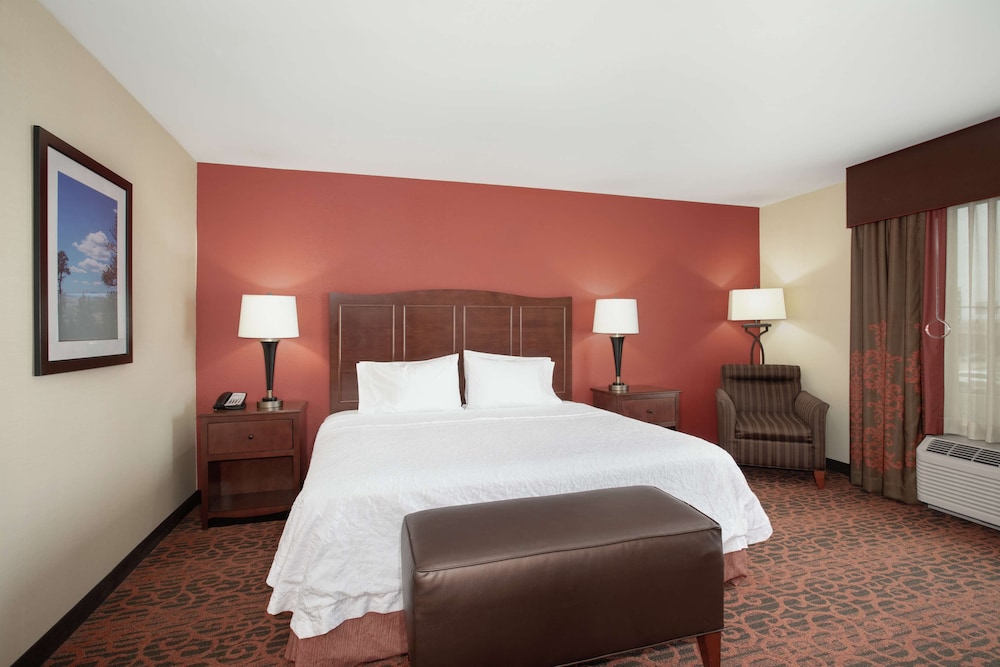 Room, 1 King Bed, Accessible, Non Smoking photo 1