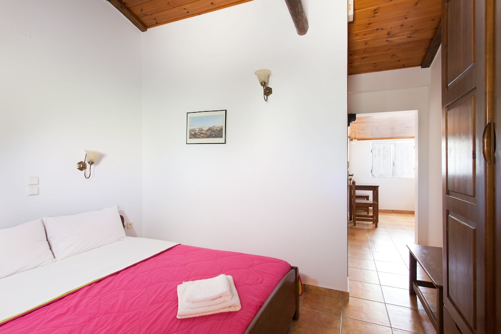 Studio, Kitchenette, Courtyard Area photo 3