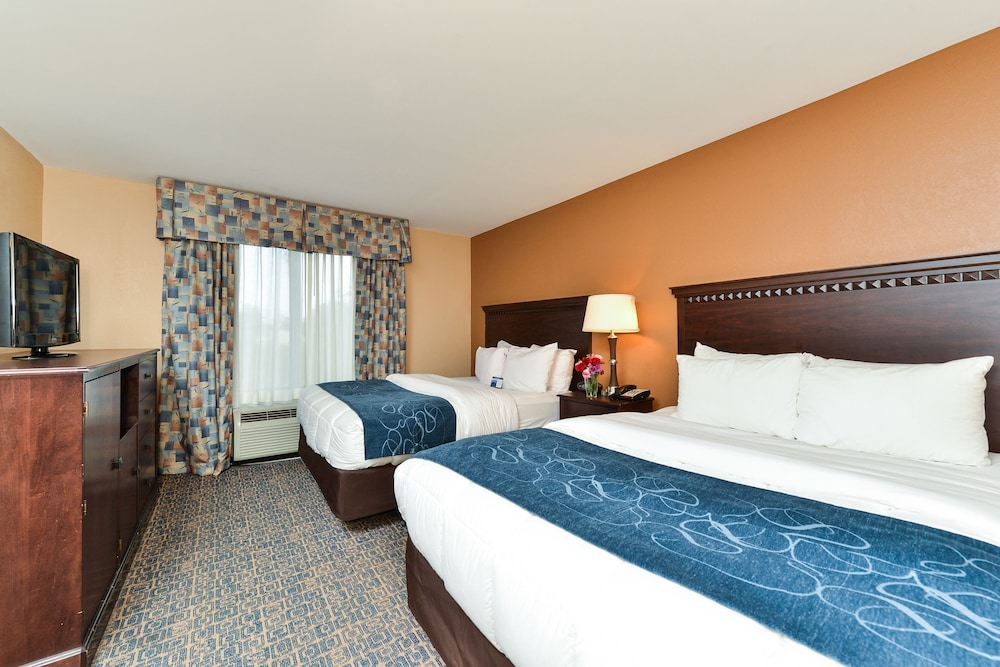 Suite, Multiple Beds, Non Smoking photo 2